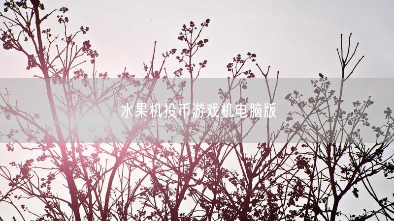 经典水果机投币游戏机，电脑版玩法体验升级