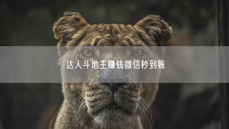 达人斗地主赚钱微信秒到账