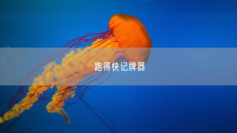 跑得快记牌器